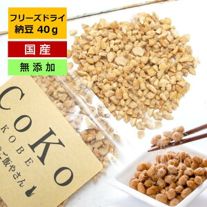   [ t[YhC Y Y [t[YhC t[YhC[ CoKoIWi  gbsO Y 40g Hikiwari Natto for dogs