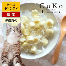 猫 おやつ チーズ ナチュラルチーズ 国産 猫おやつ 猫のおやつ ペット用 猫用 チーズキャンディ 90g キャットフード ペット CoKo犬と猫のご飯やさん