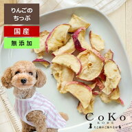 犬 おやつ りんご 国産 無添加 リンゴ 林檎 アップル りんごちっぷ 45g アップルチップ CoKo犬と猫のご飯…