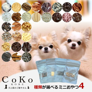    lߍ킹 Mtg Zbg 4_ Y Y ᎉb ނIׂ邨Zbg  v[g ܂   `[Y { n ڂ   