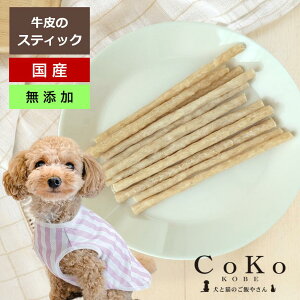 y}\Xő1,000~OFFN[|!!z  K Y p XeBbN 40g   Y pK ̃K K ݂  n~KL f^ Ic ̂