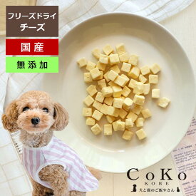犬 おやつ チーズ フリーズドライチーズ ナチュラルチーズ 乾燥チーズ ドライチーズ 国産 無添加 犬 おやつ CoKoオリジナル フリーズドライ チーズ 30g freezedry cheese for dogs