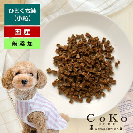 犬 おやつ 無添加 国産 鮭 さけ サケ サーモン ジャーキー CoKoオリジナル 犬おやつ 猫おやつ ひとくち鮭 35g 無添加 国産 Salmon for dogs and cats