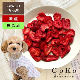 犬 おやつ 果物 フリーズドライ いちご 国産 無添加 イチゴ 苺 ストロベリー いちごちっぷ 25g ストロベリー CoKo犬と猫のご飯やさん 小型犬 中型犬 子犬 シニア犬 トリーツ トレーニング ご褒美 トッピング ドッグ
