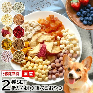  q  t Ⴝς ܂ ڂ    `[Y rXPbg Ⴝς ` ` ^pN ^pN ჊ t[h {[ Y Y 