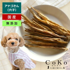 犬 おやつ 無添加 国産 アナゴさん 45g あなご アナゴ 穴子 魚 フィッシュジャーキー ジャーキー ドッグスナック ドックフード 犬用おやつ 犬 おやつ 無添加おやつ CoKo 犬と猫のご飯やさん