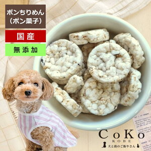   ׂ Y Y |َq  CoKoIWi  |߂ Y Y (25g) ricepuff for dogsyX܎\z