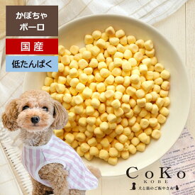 国産 無添加 犬 おやつ かぼちゃ ボーロ (90g) CoKo犬と猫のご飯やさん 小型犬 中型犬 子犬 シニア犬 ビスケット トレーニング ご褒美 トッピング ドッグ ここいぬ
