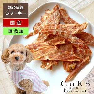   {   Y Y ᎉb  ނ˓ {ނ˓؂ 60g W[L[ `L W[L[ hbOXibN hbNt[h p   Y CoKo ƔL̂