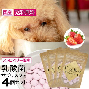  _ Tvg Y _ۃTv CoKoIWi _ۃXgx[ Y (30g×4) hbOt[h Lbgt[h Y_ ӂ肩 gbsO CoKo ƔL̂т₳ hb