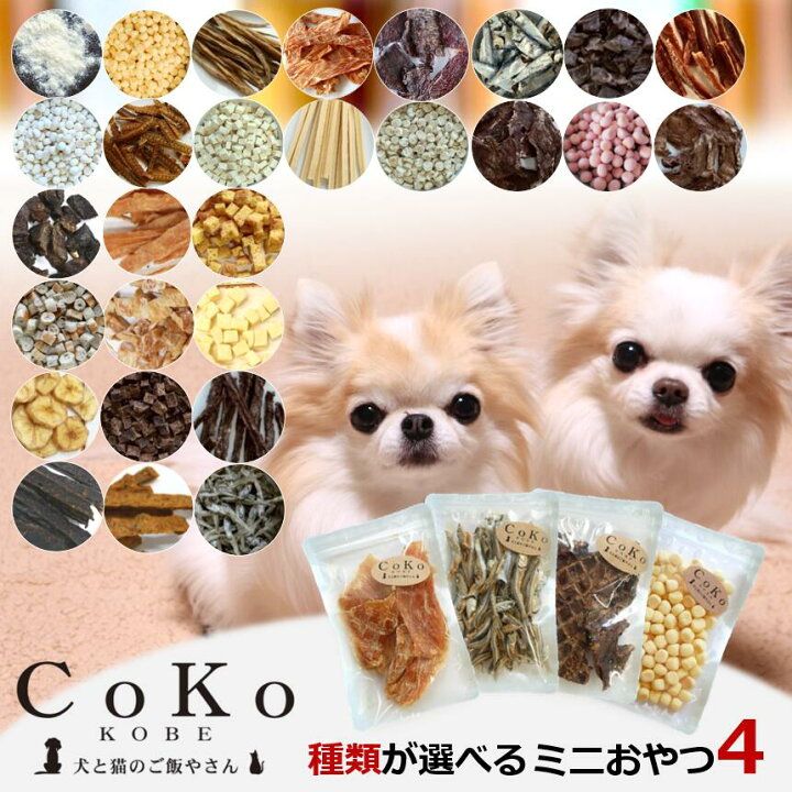 楽天市場】犬 おやつ 小分け 詰め合わせ ギフト おやつセット 4点 無 