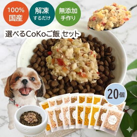 無添加 国産 CoKoご飯 7種から選べる20個セット 手作りごはん 手作り食 ドッグフード ペットフード トッピング ふりかけ 野菜 犬用 ペット 犬 パピー シニア 子犬 dog 小型犬 大型犬 ダイエット (50g×20)