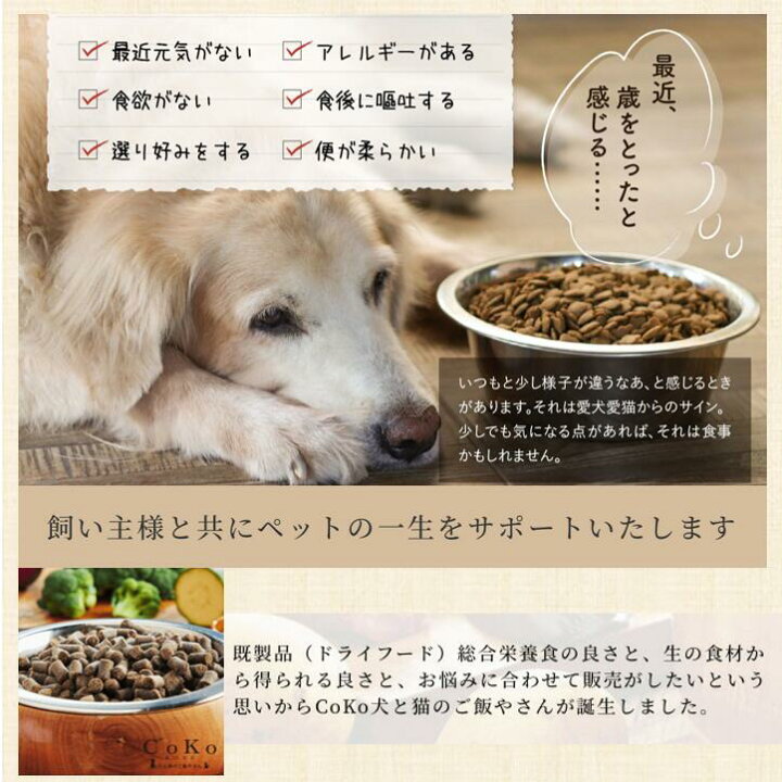 楽天市場 店舗受取り可能 送料無料 ペット 犬用 栄養補給 偏食 食欲に ふりかけ 犬 ご飯 野菜 トッピング 食材セット がっつり 手作りご飯 スターター7点セット ドッグフード おやつ トッピング ご褒美 着色料 保存料 香料 無添加 Topping For Dogs Coko犬と猫の