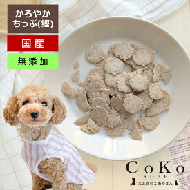 犬 おやつ 国産 無添加 煎餅 せんべい 犬煎餅 犬せんべい かろやかちっぷ かつお 60g 魚 鰹 カツオ フィッシュ CoKoオリジナル 犬用おやつ CoKo犬と猫のご飯やさん 小型犬 中型犬 子犬 シニア犬 クッキー ビスケット トレーニング ご褒美 トッピング ここいぬ CoKo coko