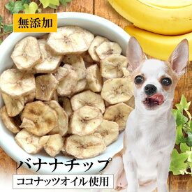 犬 おやつ 無添加 バナナ 犬おやつ 無添加バナナ CoKoオリジナル 犬用おやつ バナナチップ (60g) banana for dogs【店舗受取り可能】