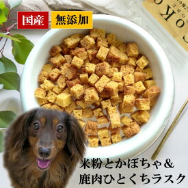 犬 おやつ ビスケット 国産 無添加 米粉とかぼちゃ＆鹿肉ひとくち ラスク 40g ビスケット 米粉 鹿肉 かぼちゃ CoKo犬と猫のご飯やさん 小型犬 中型犬 子犬 シニア犬 トリーツ トレーニング ご褒美 トッピング ドッグ ここいぬ【店舗受取り可】