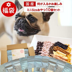 2026 福袋 犬 おやつ 詰め合わせ 何が入るかお楽しみ ミニサイズおやつ10個 おやつ ギフト プチギフト プレゼント ペット 福袋 まとめ買い 国産 無添加 福袋 送料無料 お祝い 誕生日 誕生日ギフト お試し お試しセット