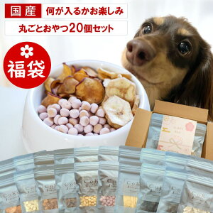 �� ����� �y�b�g ���� 2026 ���Y ���Y�� ������ CoKo�܂邲�ƐH�ׂ����Z�b�g ���� �n�� �{ �� ������ �`�L�� �� �܂��� �}�O�� �� �T�[���� �A�i�S �� �`�[�Y ��� �o�i�i ���܂��� ���ڂ���