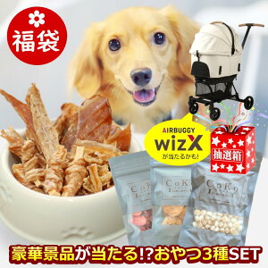 y GAoM[ EBYGbNX 邩EI z  2026 ،iiI3Zbg  Mtg v`Mtg v[g ybg  ܂Ƃߔ Y Y  