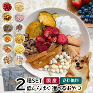 犬 子犬 おやつ 腎臓 低たんぱく 低リン さつまいも かぼちゃ りんご いちご 果物 ビスケット 低たんぱく…