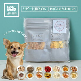 1000円ポッキリ 送料無料 犬 おやつ ペット 福袋 国産 おやつ 何が入るかお楽しみ ミニおやつ×2個セット おやつセット 無添加 肉 チキン 魚 チーズ ジャーキー ビスケット ボーロ 野菜 果物 CoKo coko COKO