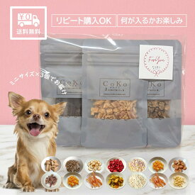 1500円ポッキリ 送料無料 犬おやつ 国産 わんこのプチギフト ギフト 何が入るかお楽しみ ミニおやつ×3個セット おやつセット 無添加 肉 チキン 魚 チーズ ジャーキー クッキー ビスケット ボーロ 野菜 果物犬用 ドッグ スナック プレゼント 贈り物 CoKo coko COKO