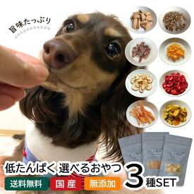 犬 おやつ 腎臓 低たんぱく さつまいも かぼちゃ りんご いちご ビスケット 低たんぱく質 低蛋白 低蛋白質 低タンパク 低タンパク質 低リン フード 国産 無添加 選べる3点 おやつセット 低脂肪 パピー シニア 子犬 成犬 小型犬 CoKo coko COKO