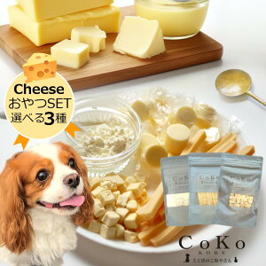   `[Y Y  ^  Iׂ`[Yfނ̂3Zbg `[YLfB `[YXeBbN `[YpE_[ t[YhC`[Y  p Y ybg 