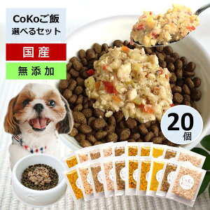  coko  ͂ Y Y 7ނIׂ20Zbg  H hbOt[h ybgt[h gbsO ӂ肩 ybg  ps[ VjA V q  ^ (50g×20)