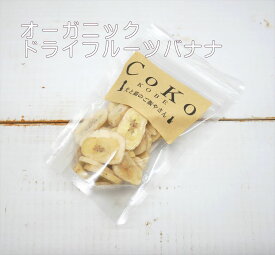 楽天市場 犬 おやつ 無添加 生産国フィリピン の通販