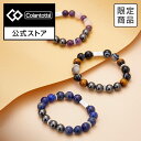 【公式店P10倍】コラントッテ ループ EN 腕用アクセサリー 磁気アクセサリー アクセサリー 健康 プレゼント 母の日 メ…
