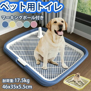 pgC ybggC 46cm×35cm q gCg[ ^ ^ ^ ybg bV gC pgCg[ ~ ybgpi gC ̃gC g[jO 