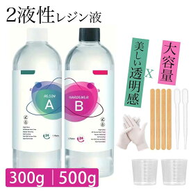 送料無料★大容量！！【2液性レジン液】 エポキシ樹脂 二液性レジン液 大容量 A液+B液合計500g A液+B液合計300g 2液性レジン ハードタイプ エポキシレジン セット DIY 初心者 手芸 レジンアート レジンアクセサリー ハンドメイド 工作 ピアス キーホルダー ネックレス 業務