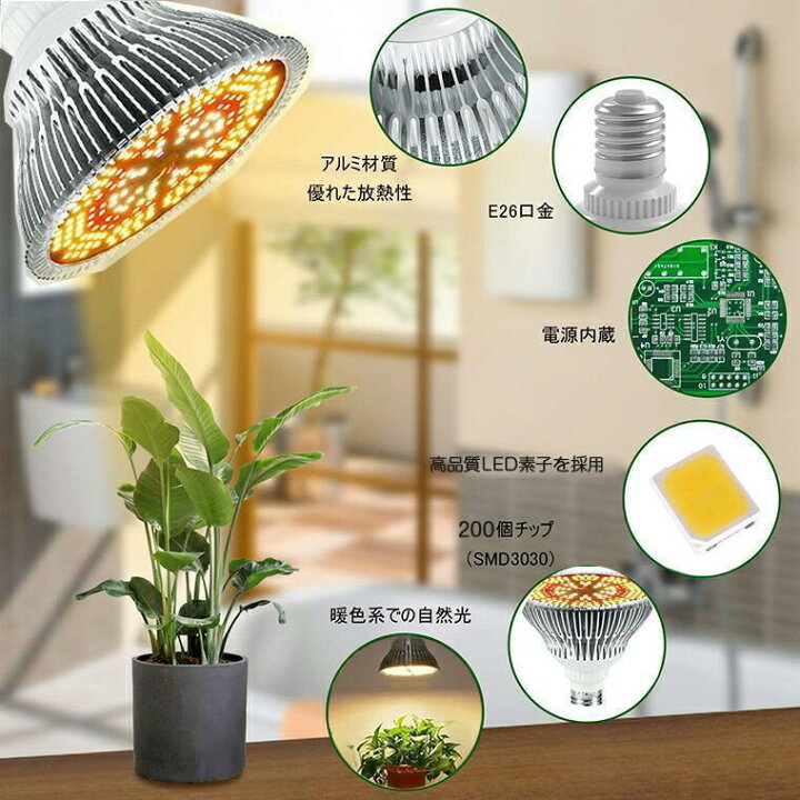 楽天市場】植物育成ライト LED 育成ライト 植物 育つ ライト 200個LED 