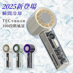 yԎoSS艿i3,980~2,282~znfBt@ pv[g gѐ@ ő12ԉғ  p [d @ usb nfB@ 100iK[h nfB[t@ y  莝