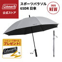 【公式】 日傘 スポーツパラソル 65DR アイスグレー 傘 晴雨兼用 雨 ダークルーム ワイドサイズ 大きい 耐風性 コール…