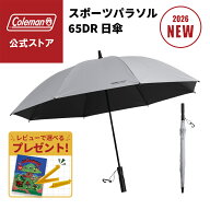 【公式】 日傘 スポーツパラソル 65DR アイスグレー 傘 晴雨兼用 雨 ダークルーム ワイドサイズ 大きい …