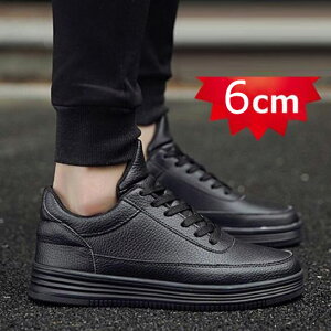 [ V[NbgV[Y Y Xj[J[ gup ̓Mtg 6cmgUP Xj[J[ Y JWA V[Y gAbvV[Y j̎qC H~ ʋC ʋ Cq[V[Y 3F
