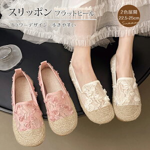 tbgq[ t[fUC ꂢ ɂ ₷  y t ԕ ʋC ~ l ɂȂ  ^ ʊw s Mtg v[g 22.5-25cm 20 30 40