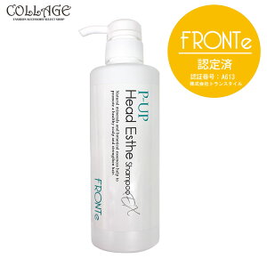 ピーアップ ヘッドエステシャンプー EX 480ml ボトル 本体 在庫あり シャンプー 超美振動 P-UP波 テラヘルツ 髪 頭皮 うるおい 美髪 美容室 サロン 専売 詰め替え 発毛 育毛 フロンテ fronte コラー