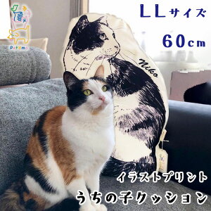 猫 クッション かわいい その他犬用ペットグッズの人気商品 通販 価格比較 価格 Com