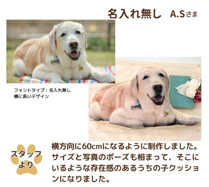 楽天市場】LLサイズ 特大 60cm オーダーメイド 愛犬 写真 グッズ 