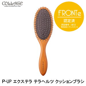 ピーアップ エクステラ テラヘルツ クッションブラシ 最新 超美振動 P-UP波 テラヘルツ ブラシ スカルプブラシ ヘアケア ヘアー 梳かすだけ 髪 美容 健康 ツヤ くし 美容院 サロン シャンプー
