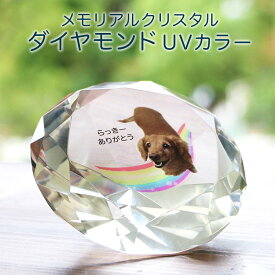 メモリアルクリスタル ペット 位牌 供養 仏具 愛犬 クリスタル 写真 フォトフレーム オーダーメイド おもいで 思いで 犬 猫 うさぎ ガラス おしゃれ オシャレ 虹組 犬の位牌 猫の位牌 お供え 写真入り 名入れ いはい 49日 四十九日 モニュメント 墓 小さい 手のひら ミニ