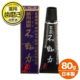 フッ素 なし 歯磨き粉 薬用 不動力 ふどうりき ハミガキ 医薬部外品 不動化学 口臭 歯槽膿漏 歯肉炎 甘草エキス ヒノキチオール 自然塩 ソルト はみがき 日本製 80g