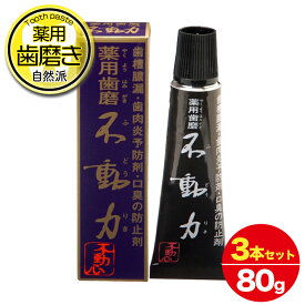 [送料無料]フッ素 なし 歯磨き粉 薬用 不動力 ふどうりき ハミガキ 医薬部外品 不動化学 口臭 歯槽膿漏 歯肉炎 甘草エキス ヒノキチオール 自然塩 ソルト はみがき 日本製 お得用3本セット 80g×3本