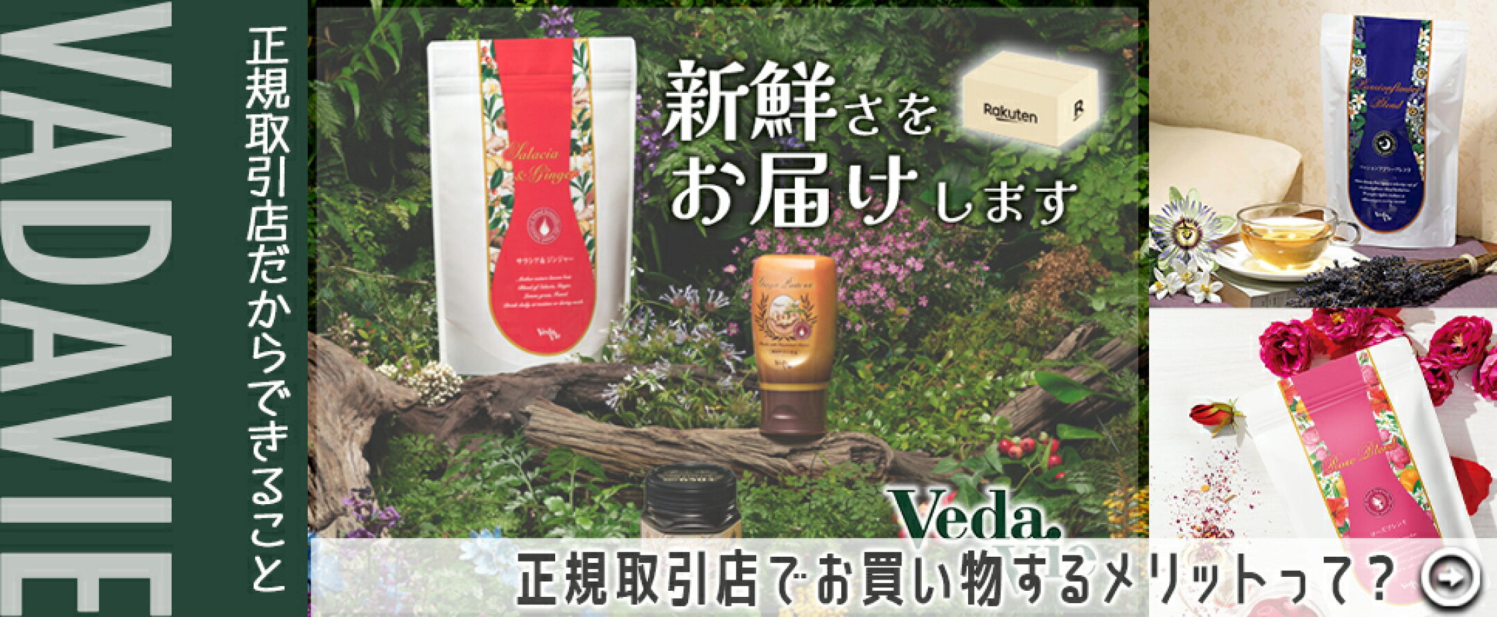 Vedavie ヴェーダヴィ