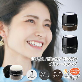 シンエイ 薄毛隠し パウダー 増毛 パウダー 白髪隠し ヘアパウダー 白髪かくし 頭皮・髪用 ポンポンパウダー 分け目 女性用 頭皮 はげ隠し 頭髪 ボリュームアップ 増毛 粉 女性 レディース 分け目 生え際カバー