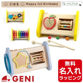 ＼レビュー特典／ 木のおもちゃ 名入れ 鉄琴 森の音楽会 エドインター おもちゃ 楽器 知育玩具 男の子 女の子 知育玩具 2歳 3歳 4歳 こどもの日 サンタクロース 誕生日 プレゼント ギフト ラッピング nichie ニチエー