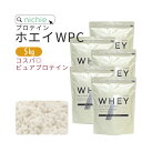 ホエイプロテイン WPC プレーン 5kg 甘味料不使用 プロテイン コンセントレート の ホエイプロテイン100 ！ 女性 にもおすすめ ココア イチゴ フレーバープレゼント nichie ニチエー